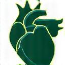 Healthy heart rendered with vibrant arteries, symbolizing cardiovascular wellness.